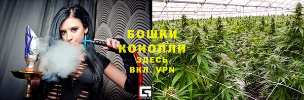 дмт Абаза