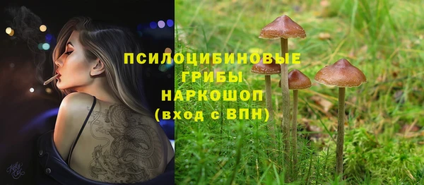 метадон Абинск