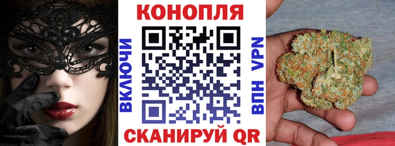 где можно купить   Якутск  Конопля индика 